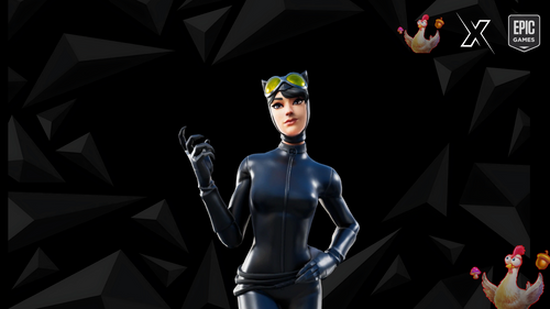 [FA] 100+ Catwomen Skin Fortnite acc